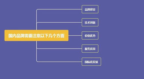 中國(guó)U盤發(fā)明與國(guó)外品牌市場(chǎng)主導(dǎo)的反思 技術(shù)推廣的差距